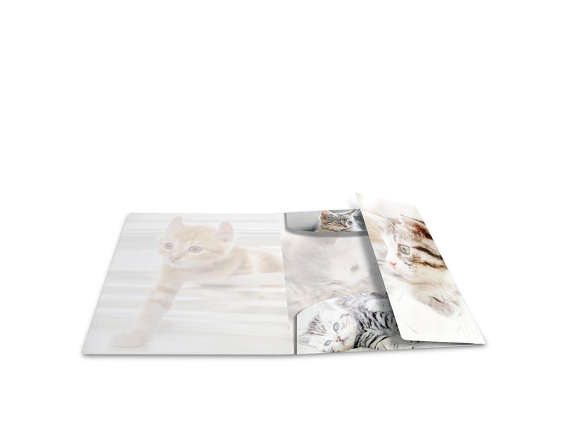 HERMA Elasticated folder glossy animals A4 PP cats