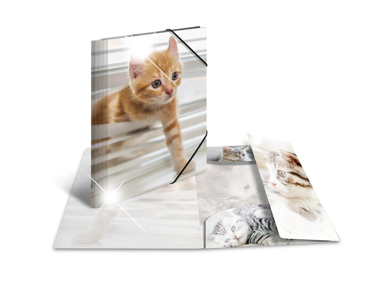 HERMA Elasticated folder glossy animals A4 PP cats