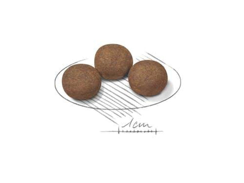 Royal Canin Medium Puppy 15kg