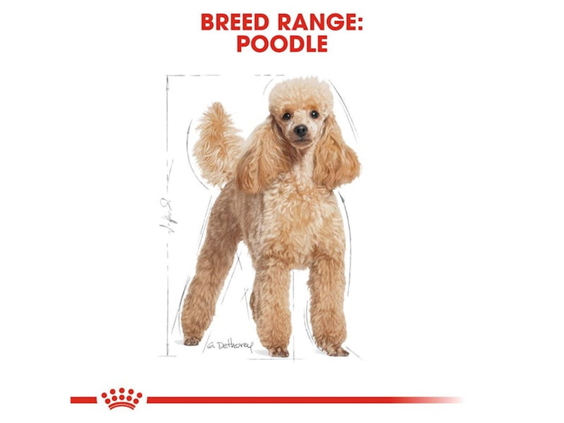 Royal Canin Poodle Adult 1.5kg