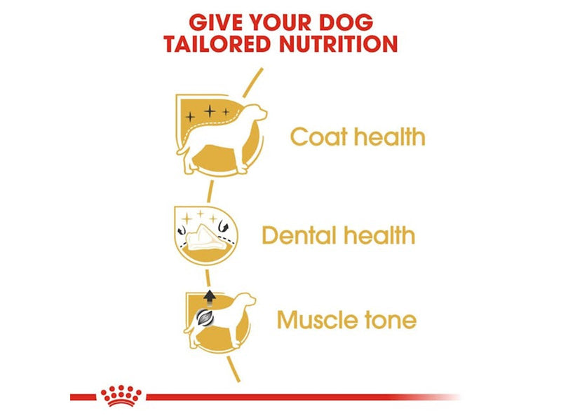 Royal Canin Poodle Adult 1.5kg