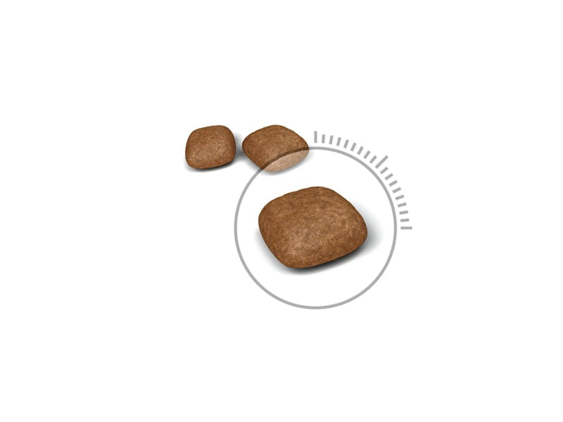 Royal Canin Urinary Care Adult 4kg