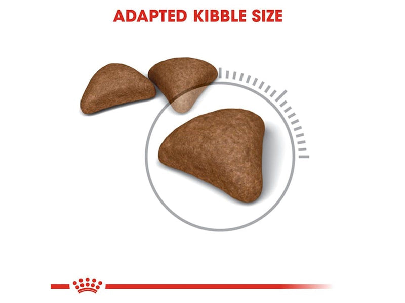 Royal Canin Hairball Care Dry food for Cats 10kg