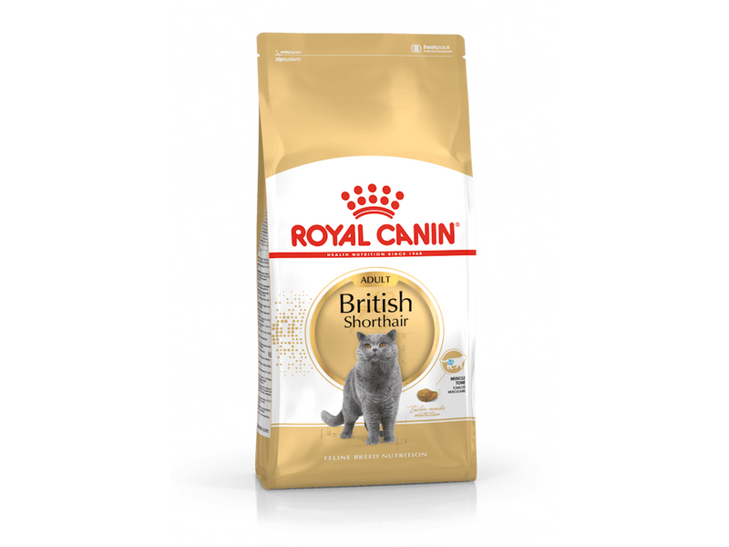 Royal Canin British Shorthair Adult 10kg