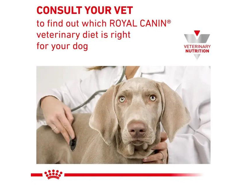Royal Canin Gastrointestinal Low Fat 12kg