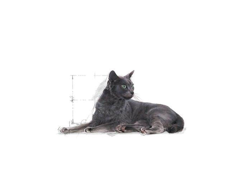 Royal Canin Sterilised 7+ 10kg