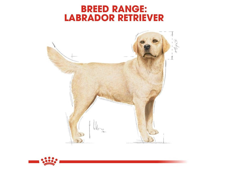 Royal Canin Labrador Retriever Adult 12kg