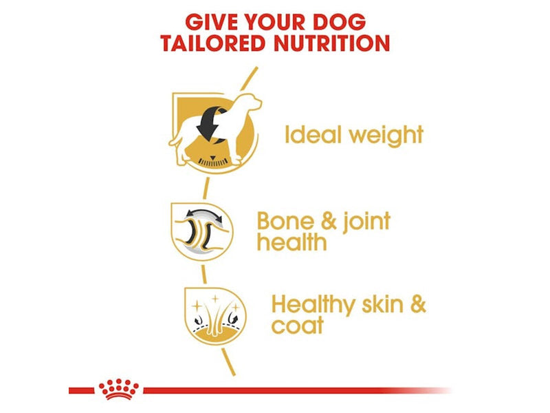 Royal Canin Labrador Retriever Adult 12kg