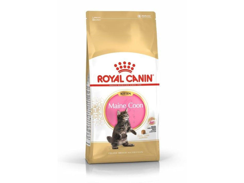 Royal Canin Maine Coon Kitten 4kg