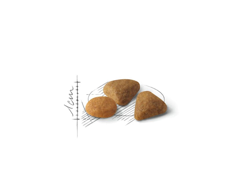 Royal Canin Savour Exigent Adult 10kg