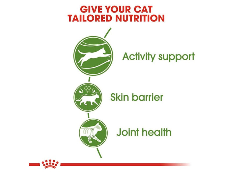 Royal Canin Outdoor Adult 4kg