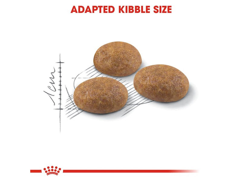 Royal Canin Outdoor Adult 4kg