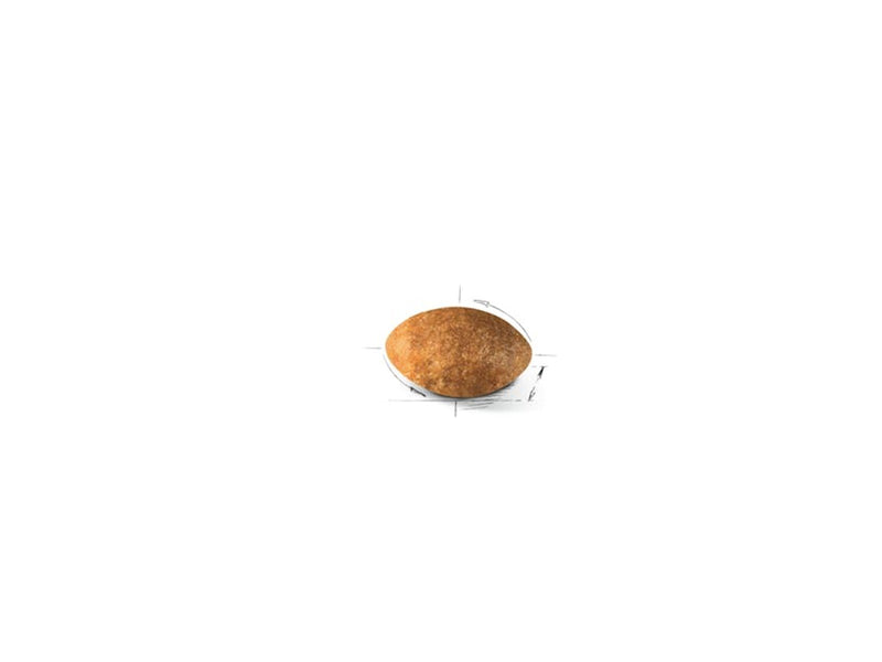 Royal Canin Persian Adult 4kg