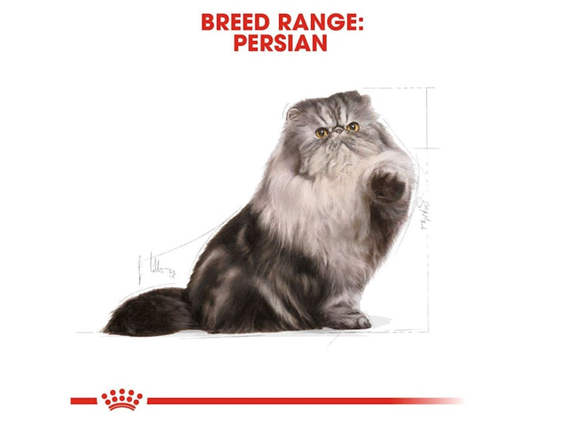 Royal Canin Persian Adult 4kg