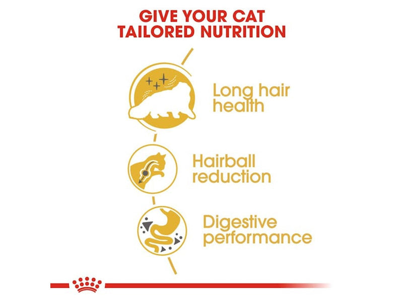 Royal Canin Persian Adult 4kg