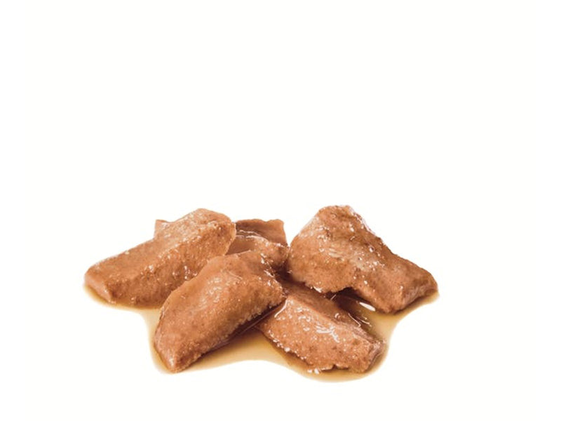 Royal Canin Maine Coon Thin Slices In Gravy 85g (12-Pack)