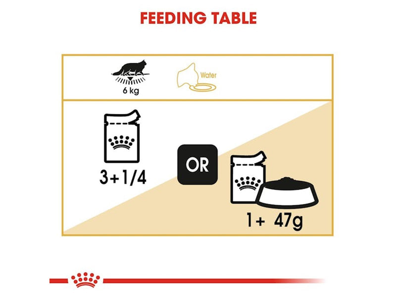 Royal Canin Maine Coon Thin Slices In Gravy 85g (12-Pack)