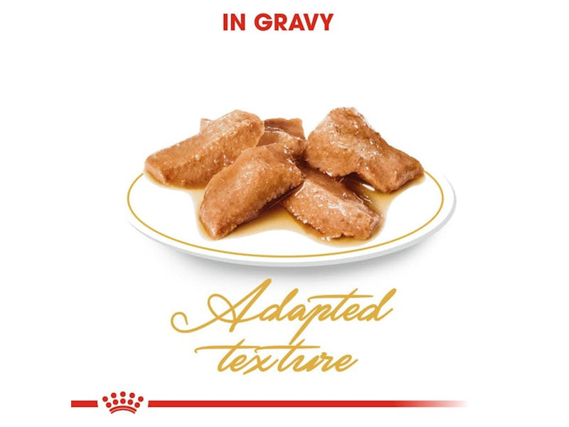 Royal Canin Maine Coon Thin Slices In Gravy 85g (12-Pack)