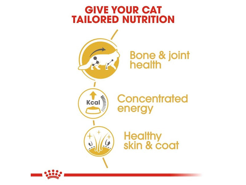 Royal Canin Maine Coon Thin Slices In Gravy 85g (12-Pack)