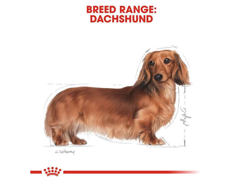 Royal Canin Dachshund Adult 7.5kg