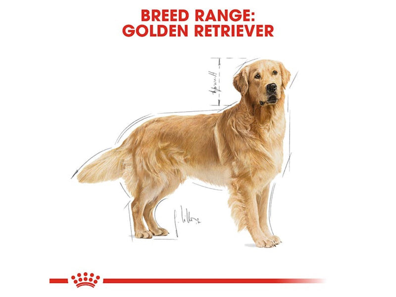 Royal Canin Golden Retriever Adult 12kg