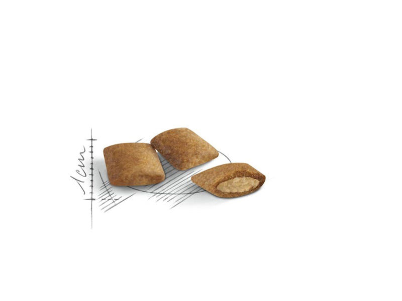 Royal Canin Ageing 12+ 400g