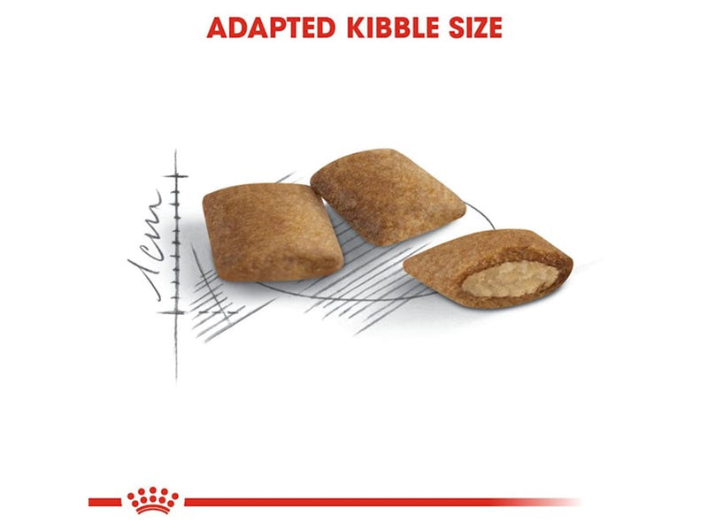 Royal Canin Ageing 12+ 400g