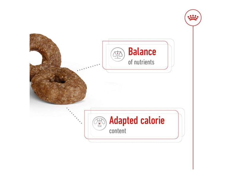 Royal Canin Mini Ageing 12+ 3.5kg