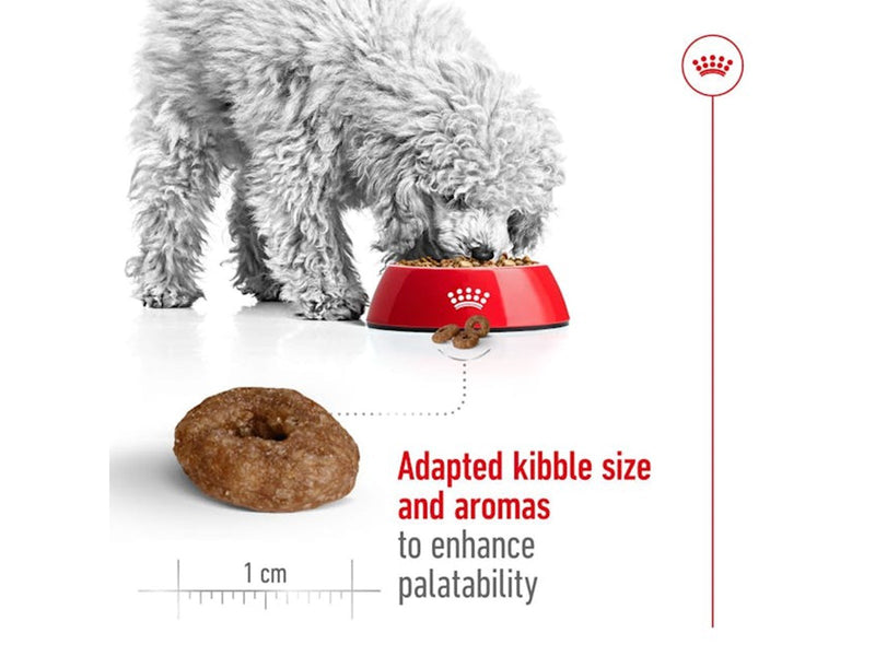 Royal Canin Mini Ageing 12+ 3.5kg