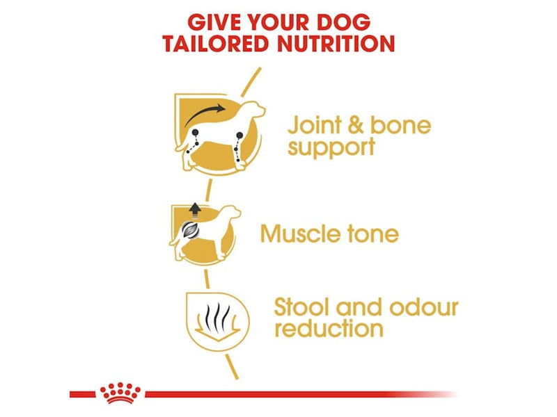 Royal Canin Dachshund Adult 1.5kg