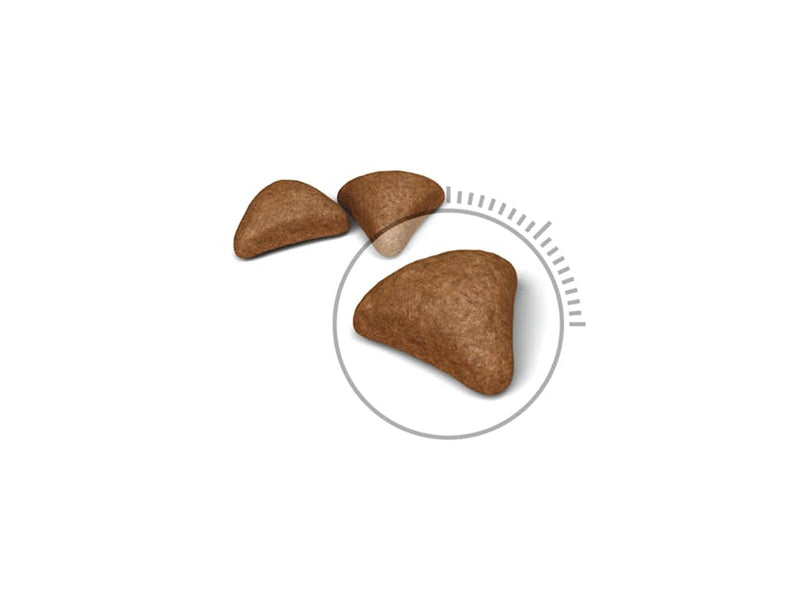 Royal Canin Hairball Care Dry food for Cats 2kg