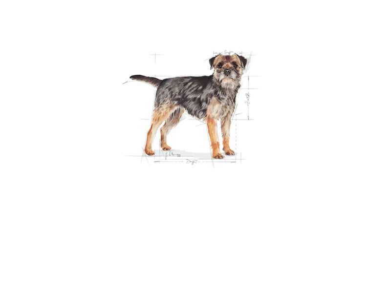 Royal Canin Mini Sterilised 3kg