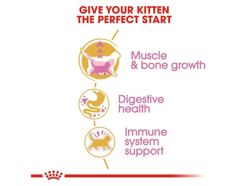 Royal Canin British Shorthair Kitten 400g