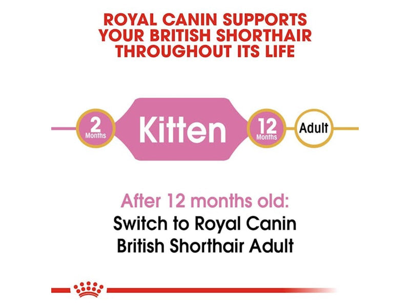 Royal Canin British Shorthair Kitten 400g