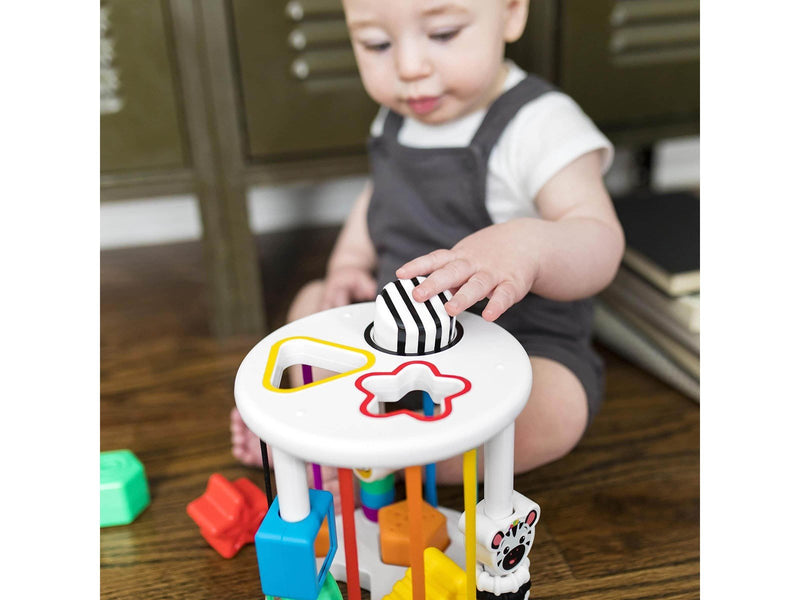 Baby Einstein Zen & Cal’s Playground™ Sensory Shape Sorter