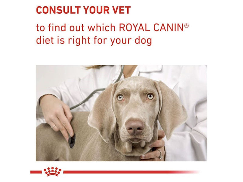 Royal Canin Neutered Adult Large Dog 13kg