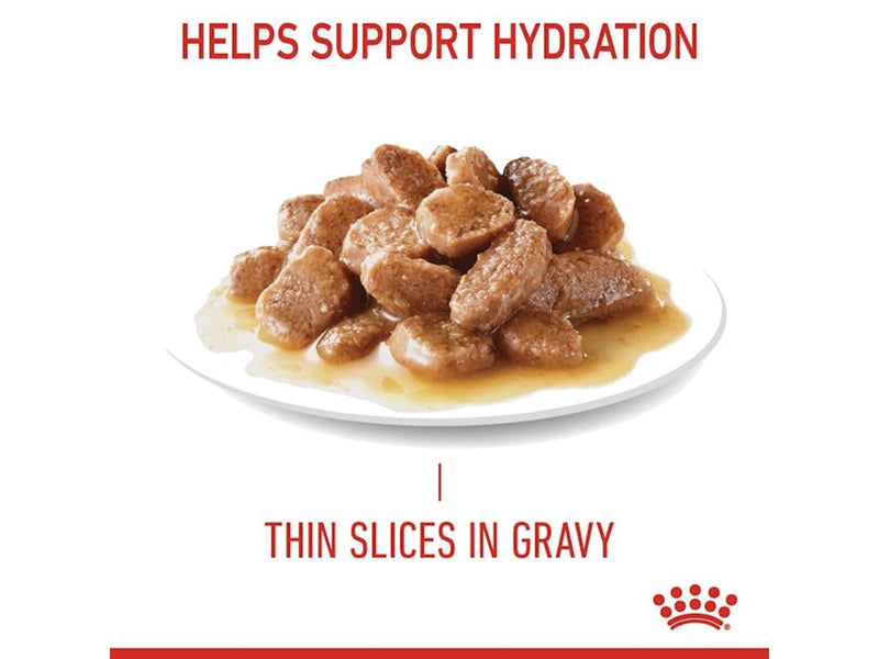 Royal Canin Appetite Control Care Thin Slices In Gravy 85g (12-Pack)