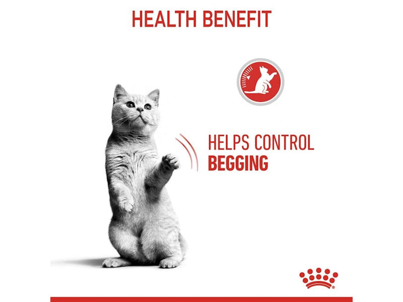 Royal Canin Appetite Control Care Thin Slices In Gravy 85g (12-Pack)