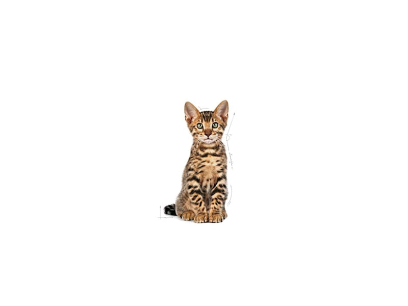 Royal Canin Kitten Sterilised 3.5kg