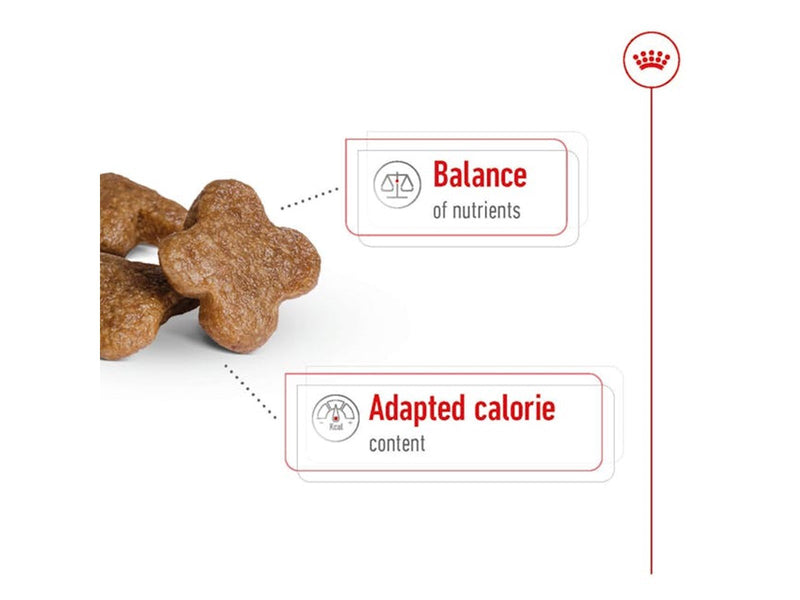 Royal Canin Mini Adult 8+ 2kg