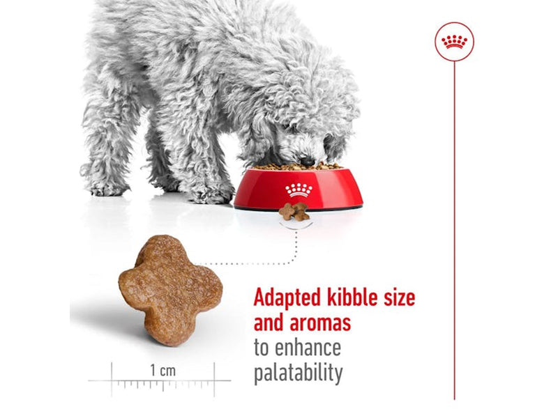 Royal Canin Mini Adult 8+ 2kg