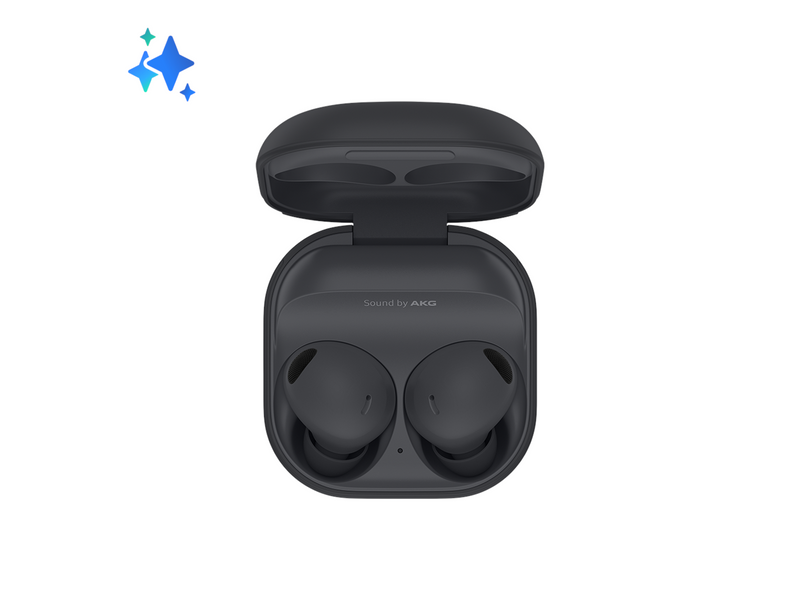 Samsung Galaxy Buds2 Pro - Graphite