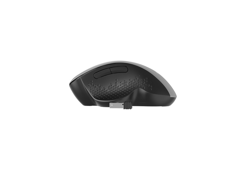 Gembird Ergonomic wireless optical mouse 6B-02 - Maus (Silber)