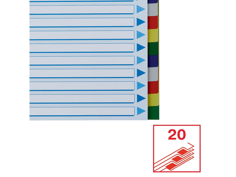 Esselte Faneblad  PP A4 20-delt flerfarve