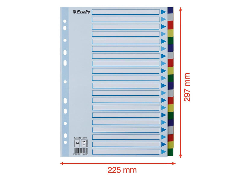 Esselte Faneblad  PP A4 20-delt flerfarve