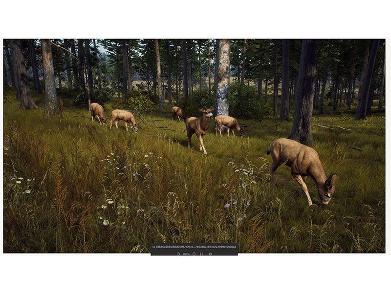 Way of the Hunter - Microsoft Xbox Series X - Jagd - PEGI 16