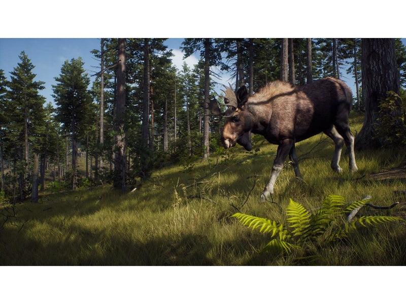 Way of the Hunter - Microsoft Xbox Series X - Jagd - PEGI 16