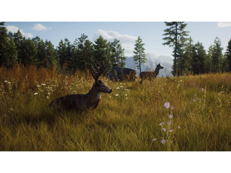 Way of the Hunter - Microsoft Xbox Series X - Jagd - PEGI 16