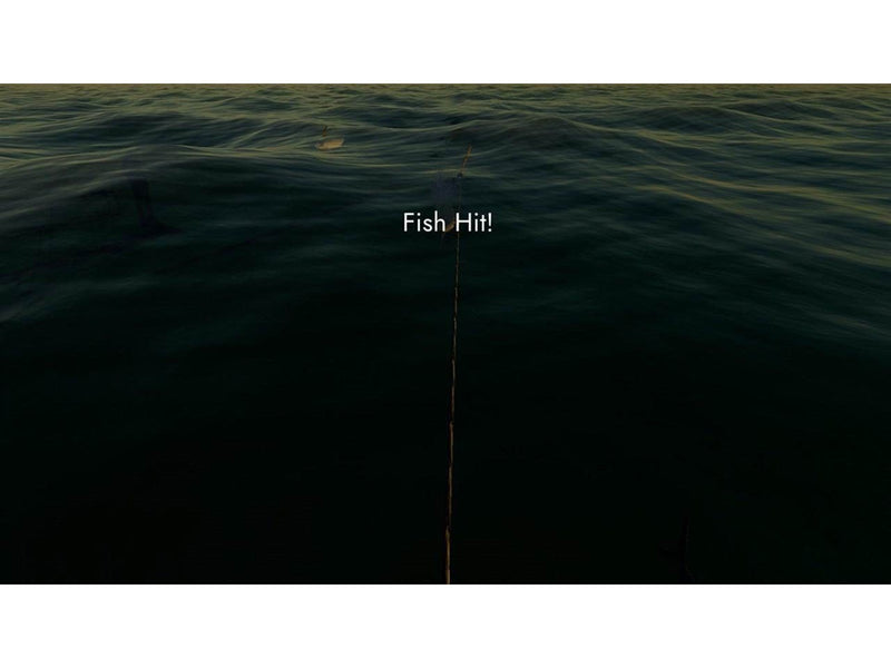 Fishing: North Atlantic Complete Edition - Sony PlayStation 4 - Simulator - PEGI 7