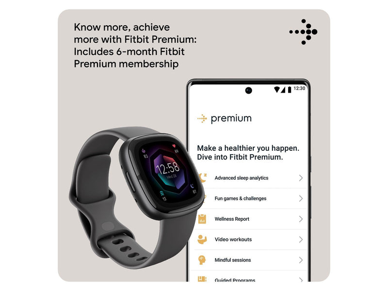 Fitbit Sense 2 Shadow Grey/Graphite